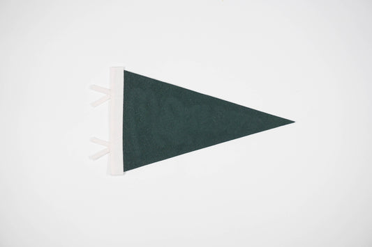 Custom city or state pennant: Evergreen