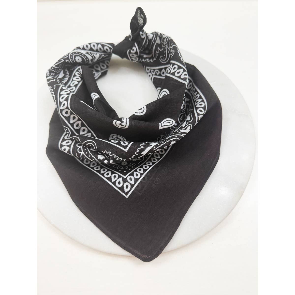 Paisley Bandana