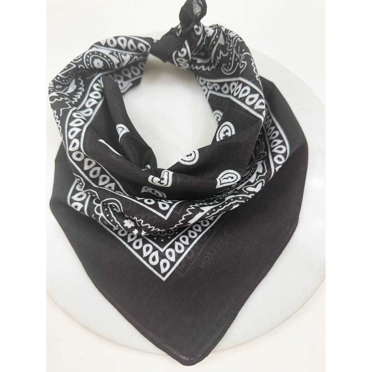 Paisley Bandana