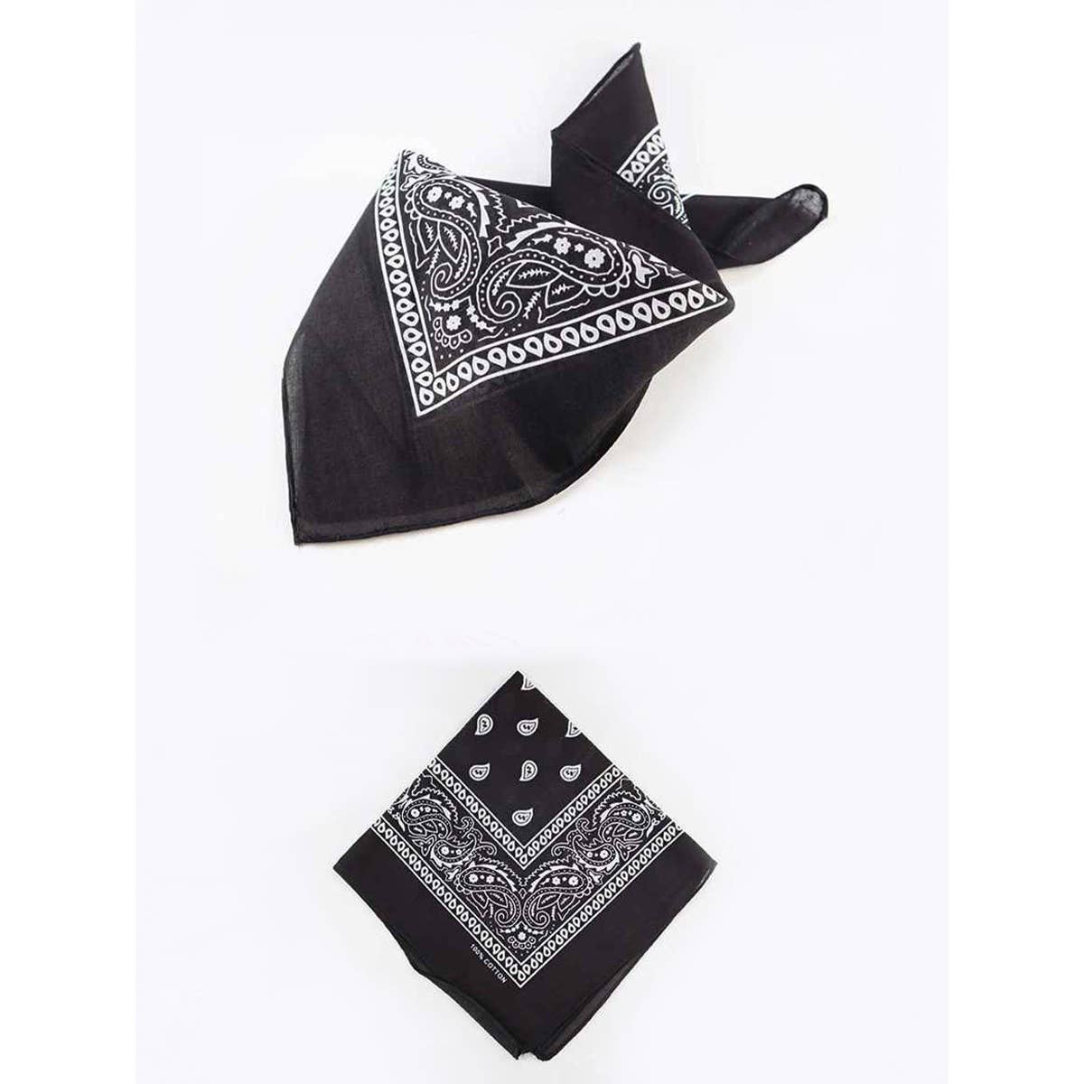 Paisley Bandana