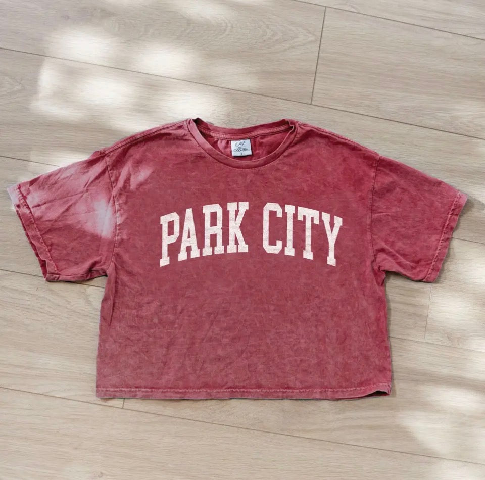 Park City Mineral Washed Graphic Tee